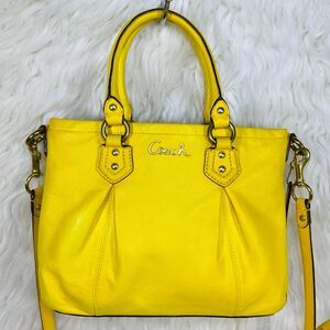 Coach Ashley Leather Mini Satchel